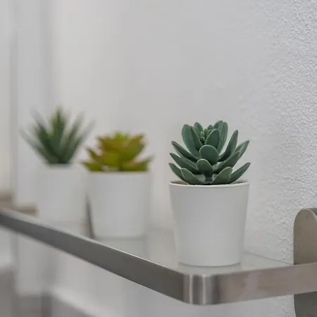 Claudias House Apartment Olbia